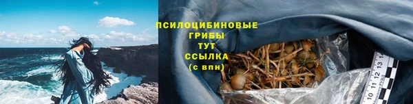 эйфоретик Алзамай