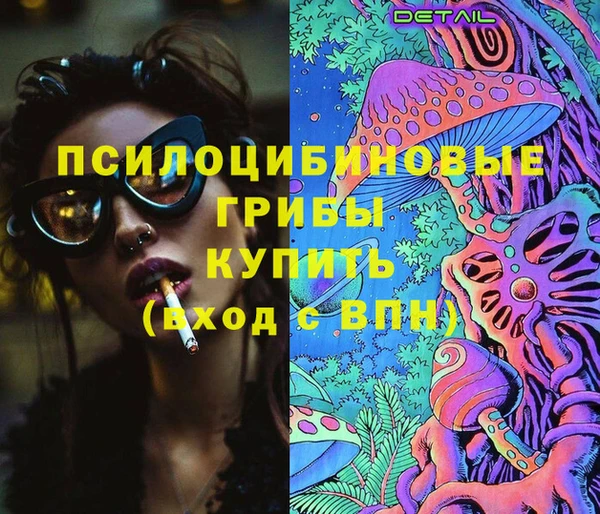 хмурый Алексеевка