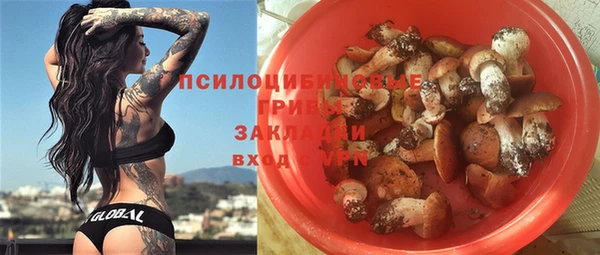 хмурый Алексеевка