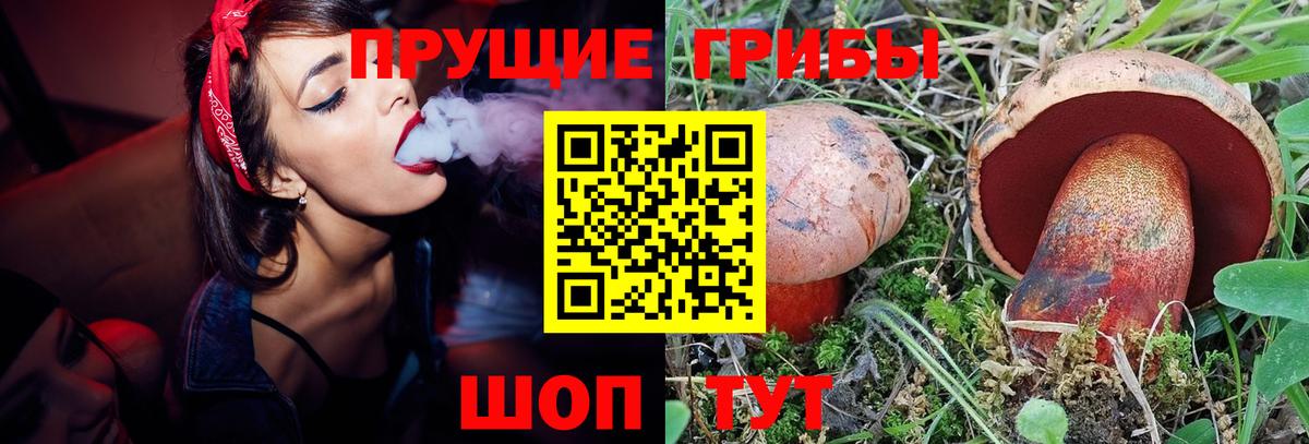 Галлюциногенные грибы прущие грибы Сосновоборск