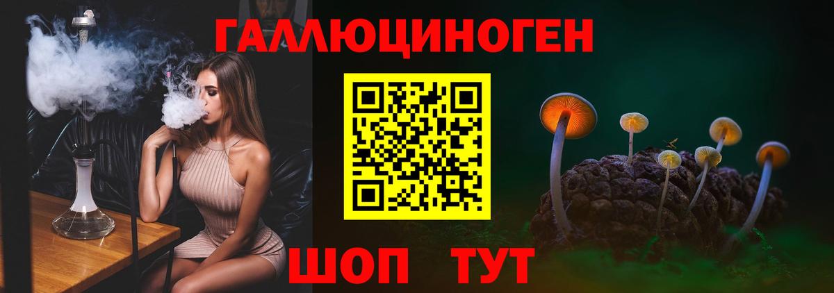 Сосновоборск  Галлюциногенные грибы Psilocybe  Вход с VPN 