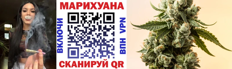 где можно купить   MEGA ссылки  Каннабис сатива  Сосновоборск 